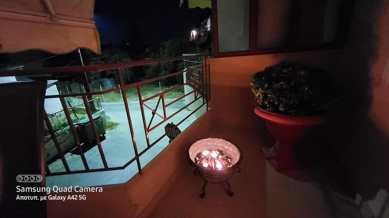 My Zen Apartament *